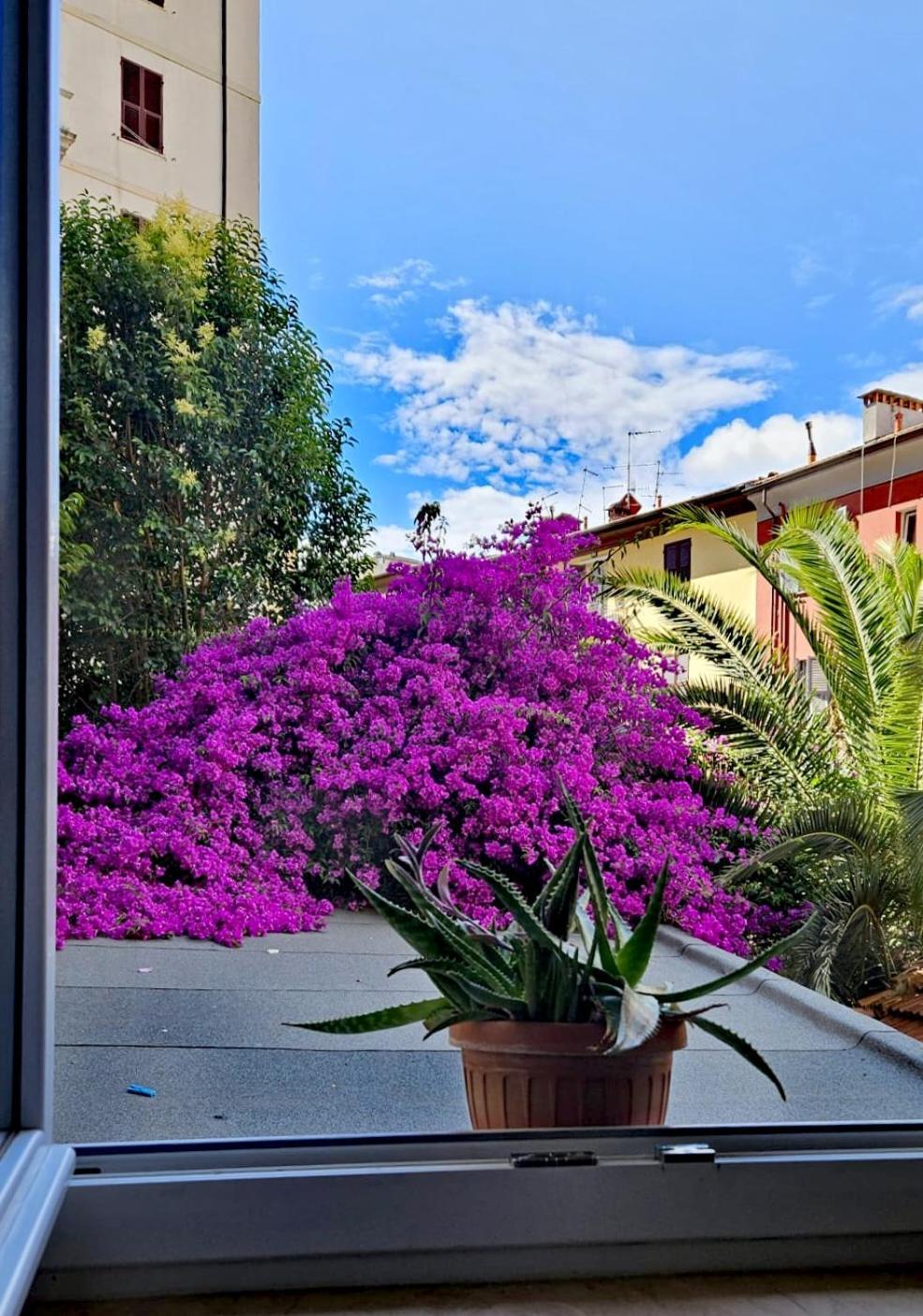Ancora Qui, Nel Golfo Dei Poeti Apartment La Spezia Exterior photo